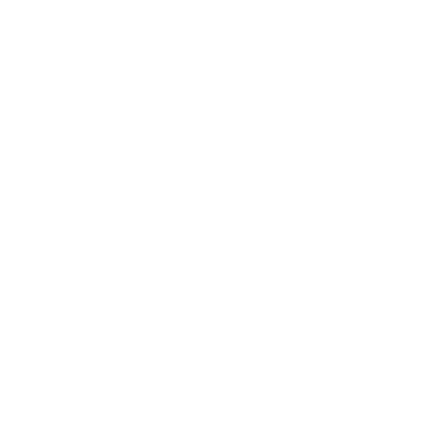 AESIR