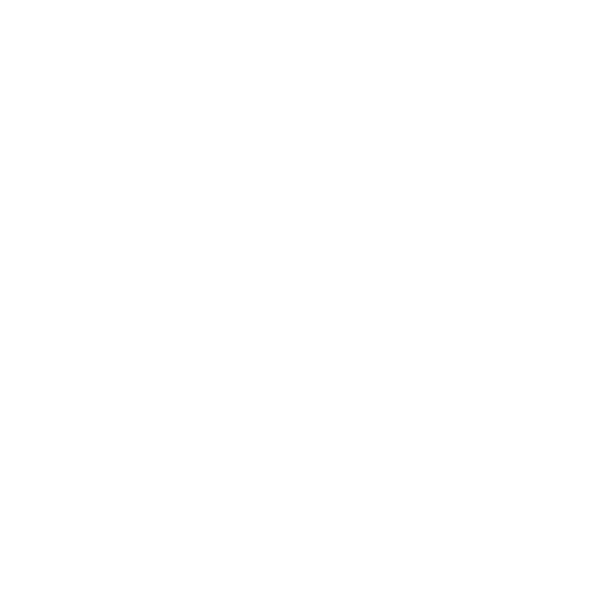 AESIR